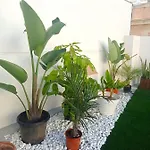 Planeta * Кадис