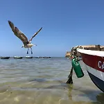 Planeta Cádiz