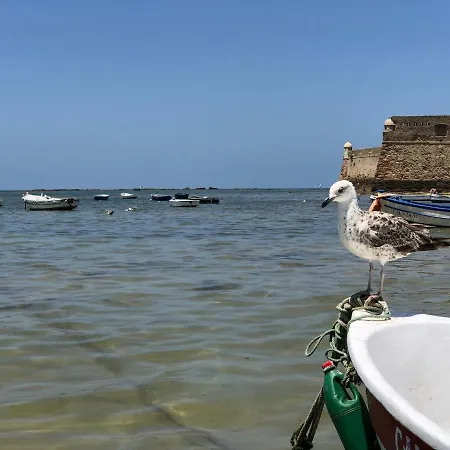 Planeta Auberge de jeunesse *