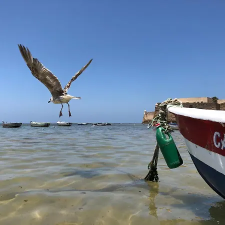 Planeta Cadiz