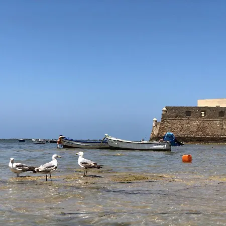 Planeta Cadiz