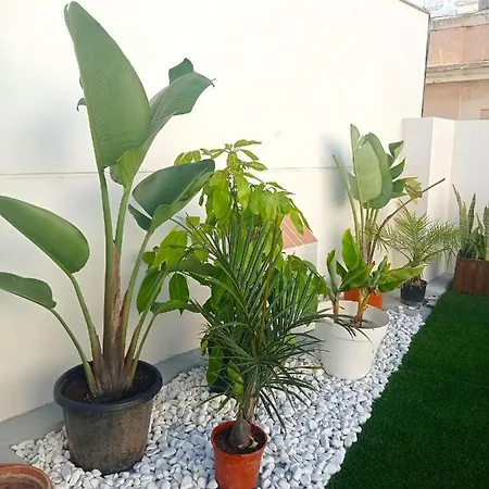 Planeta * קדיז