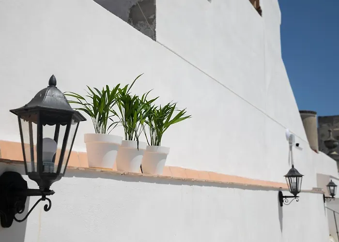 بيت شباب Planeta *