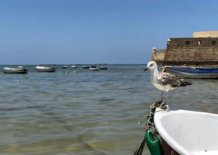 Planeta بيت شباب *